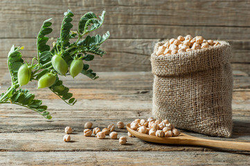 Chick Pea